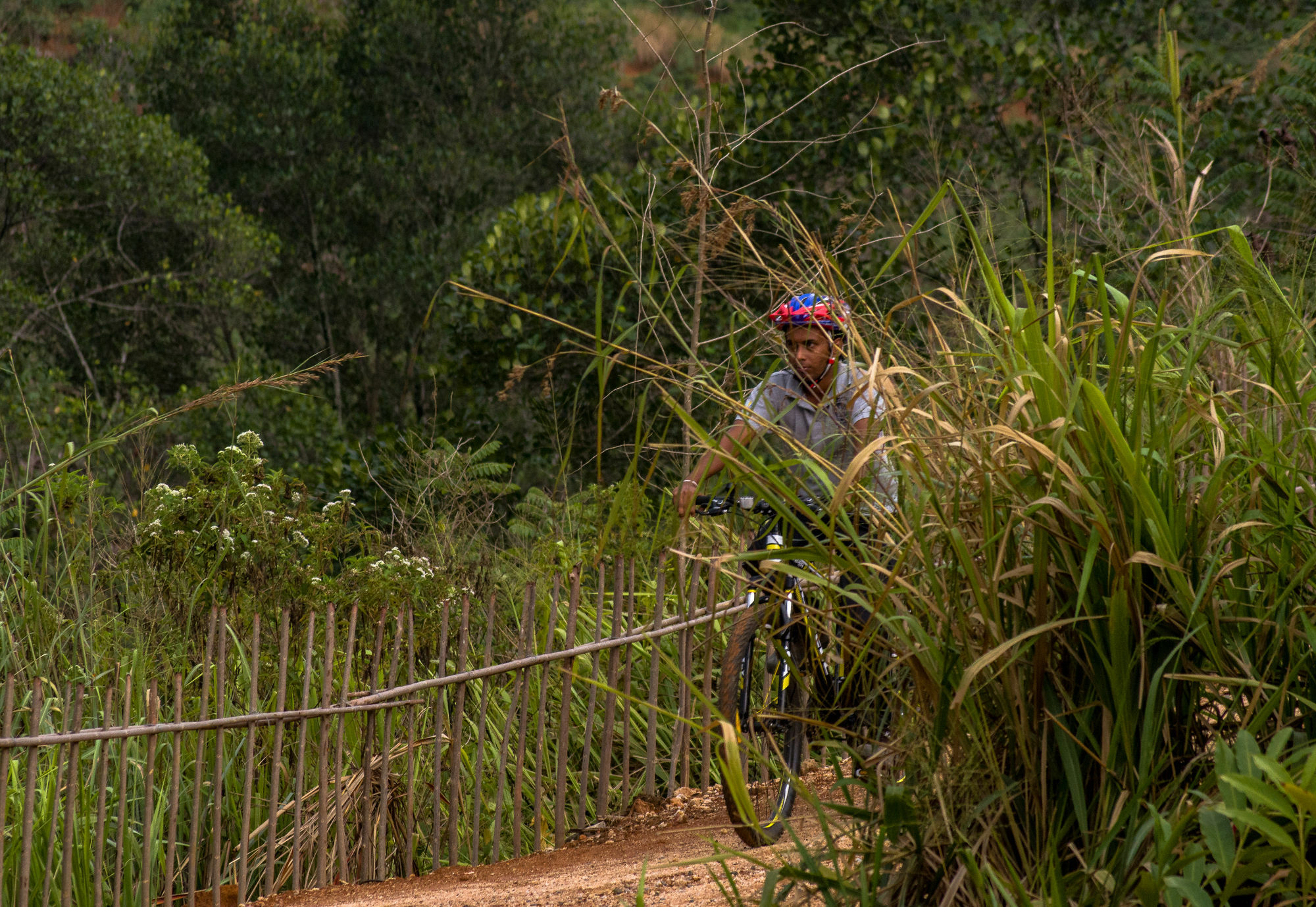 Santani Wellness Kandy Exteriér fotografie